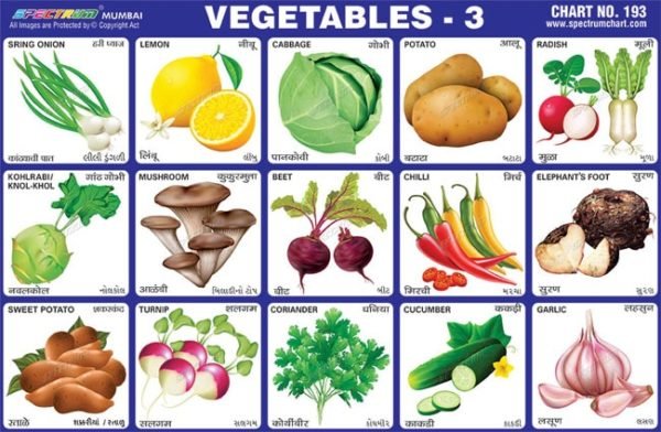 Educational Vegetables Charts