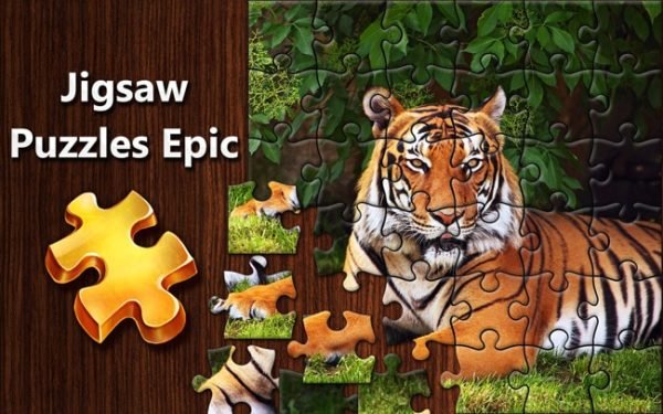 Jigsaw Picture Puzzle - Educational Equipments