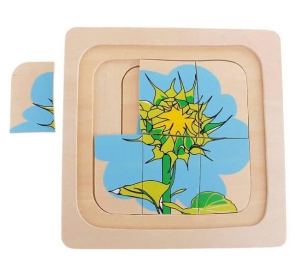 Plant-Growth-Puzzle-Educational-Equipments